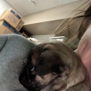 Meet your Posher, Sofia